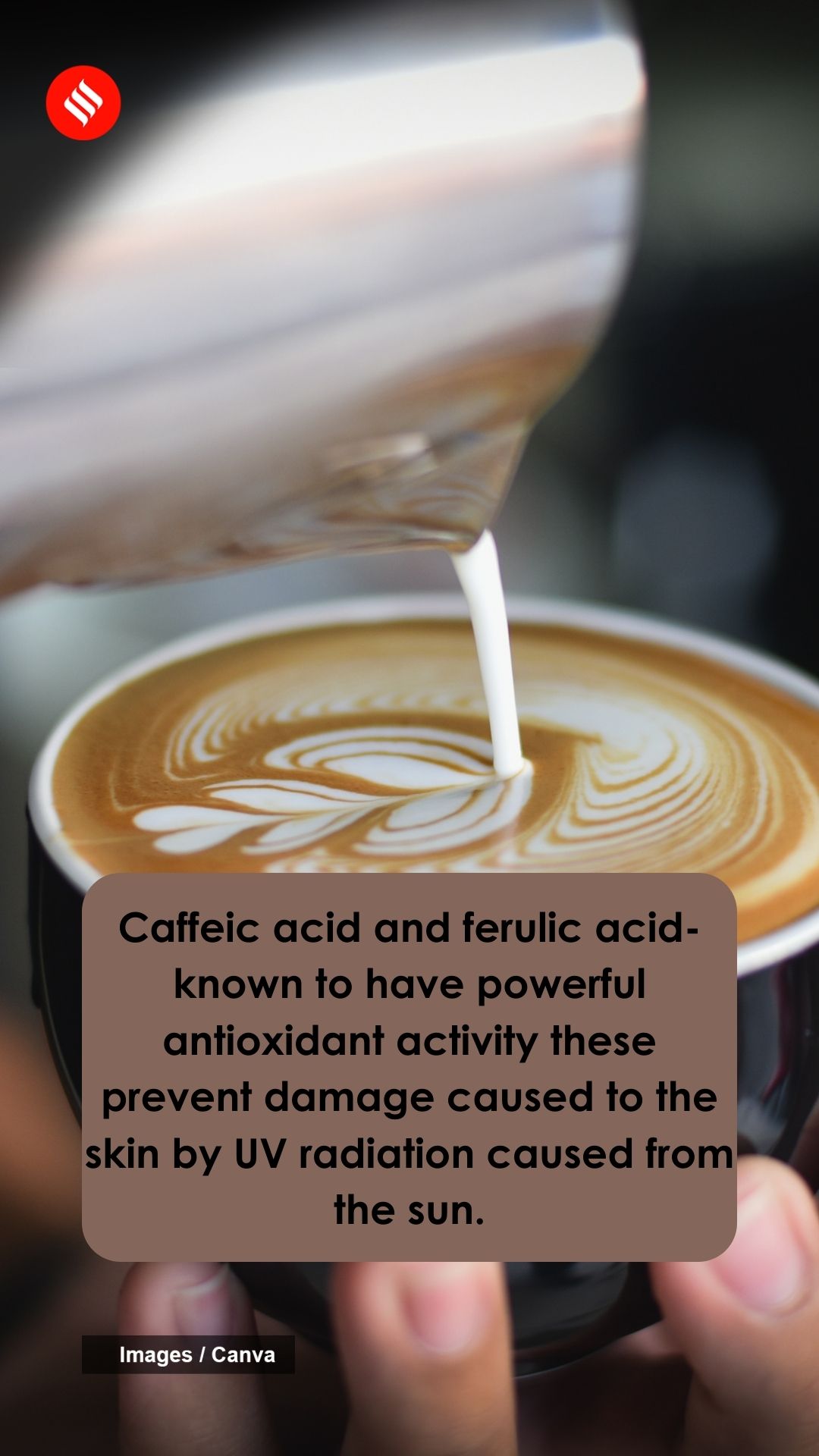 Skin benefits of coffee The Indian Express