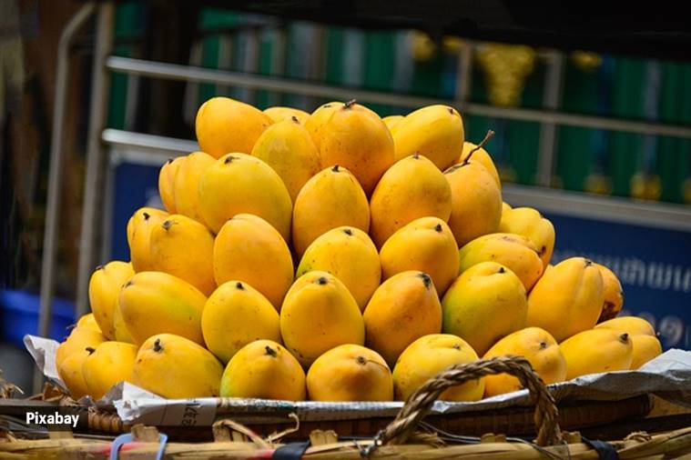 Nutrition alert One cup (165 grams) of diced mango contains… Health News The Indian Express