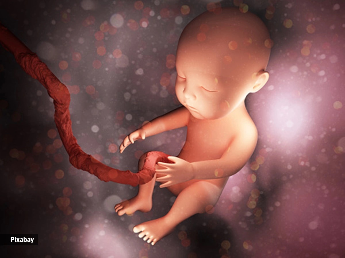 ‘Safeguarding a valuable biological resource’ Know all about umbilical