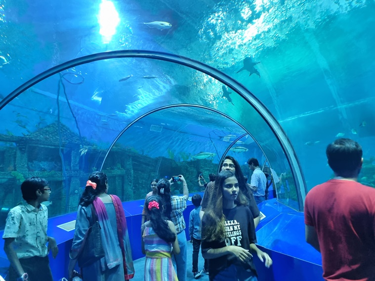 Know Your City With its sharks and penguins, Aquatic Gallery at