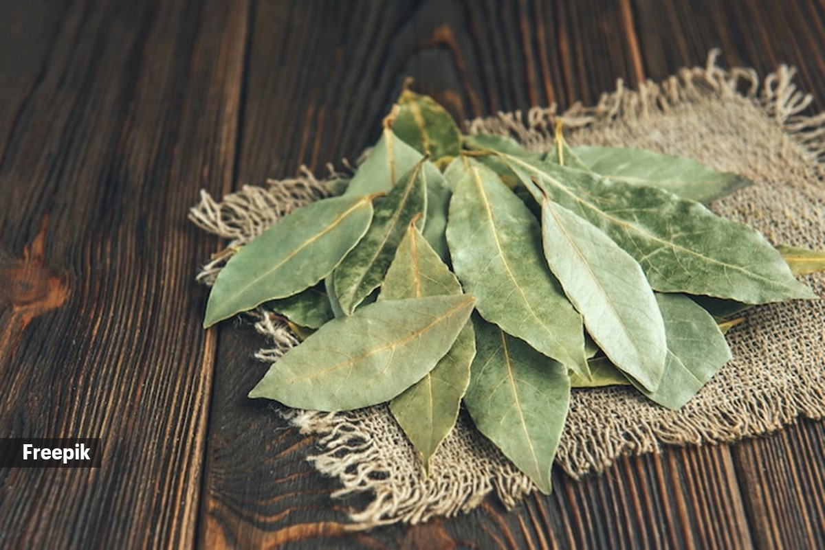Bhagyashree says ‘burn a few bay leaves, and get stress relief’; expert