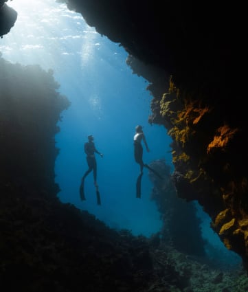 Dive Into The Majestic Depths Of These Diving Destinations