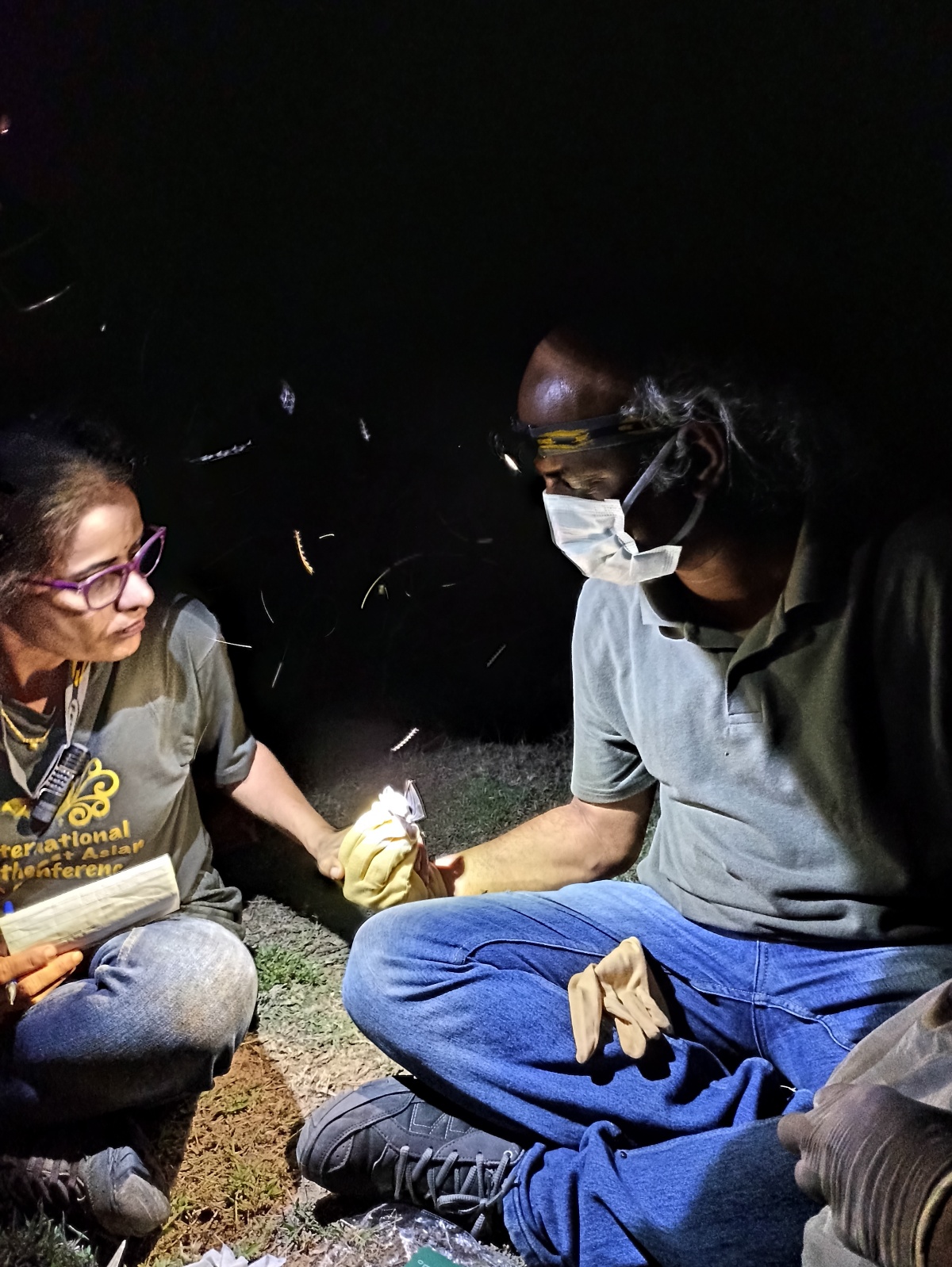 Nipah & Covid carriers? Bad omen? Bats are beautiful, say researchers