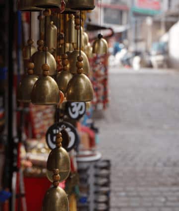 In The Lap Of The Himalayas: The Best Of Dharamsala