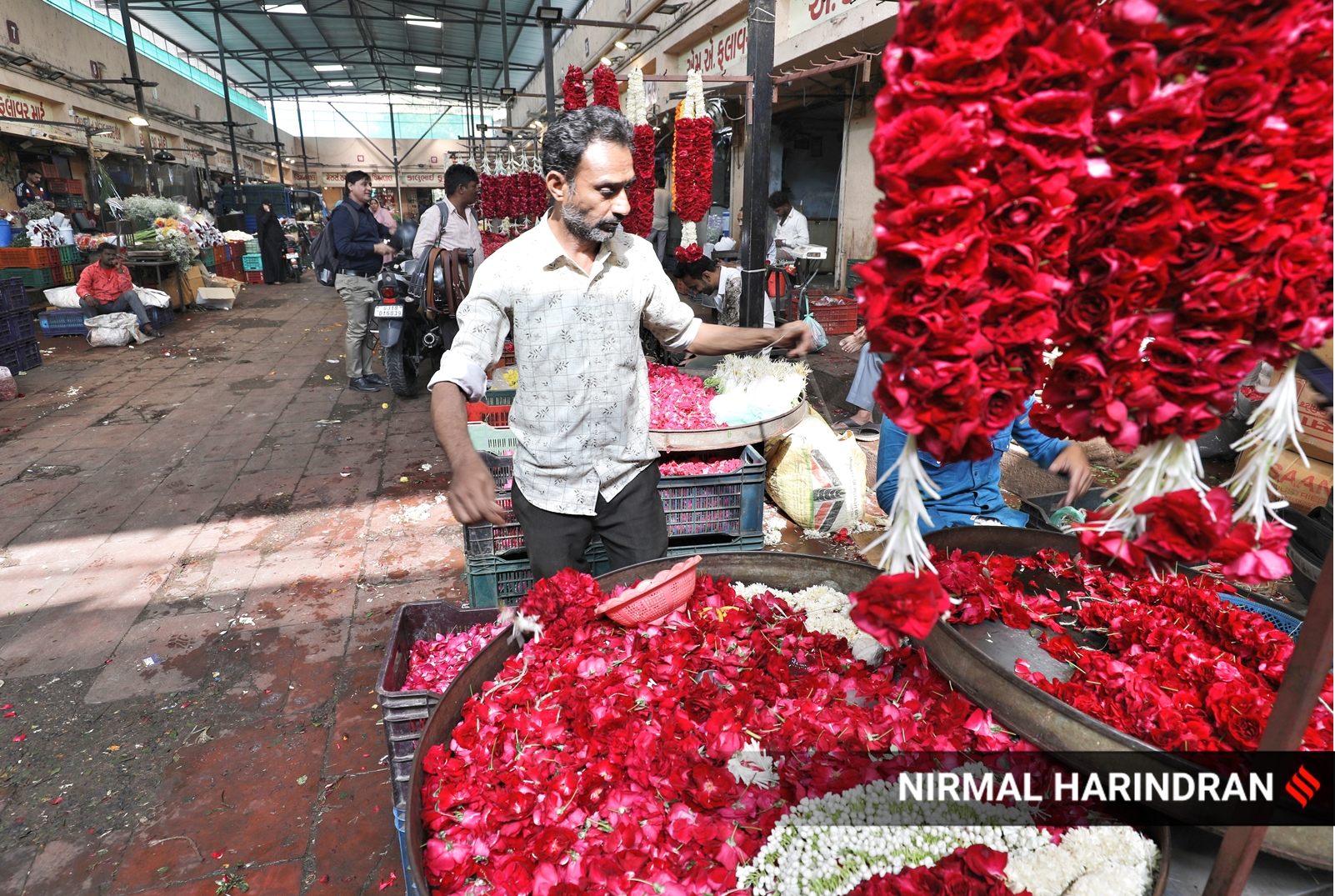 Know Your City ‘Capital of flower markets’, Ahmedabad’s Jamalpur