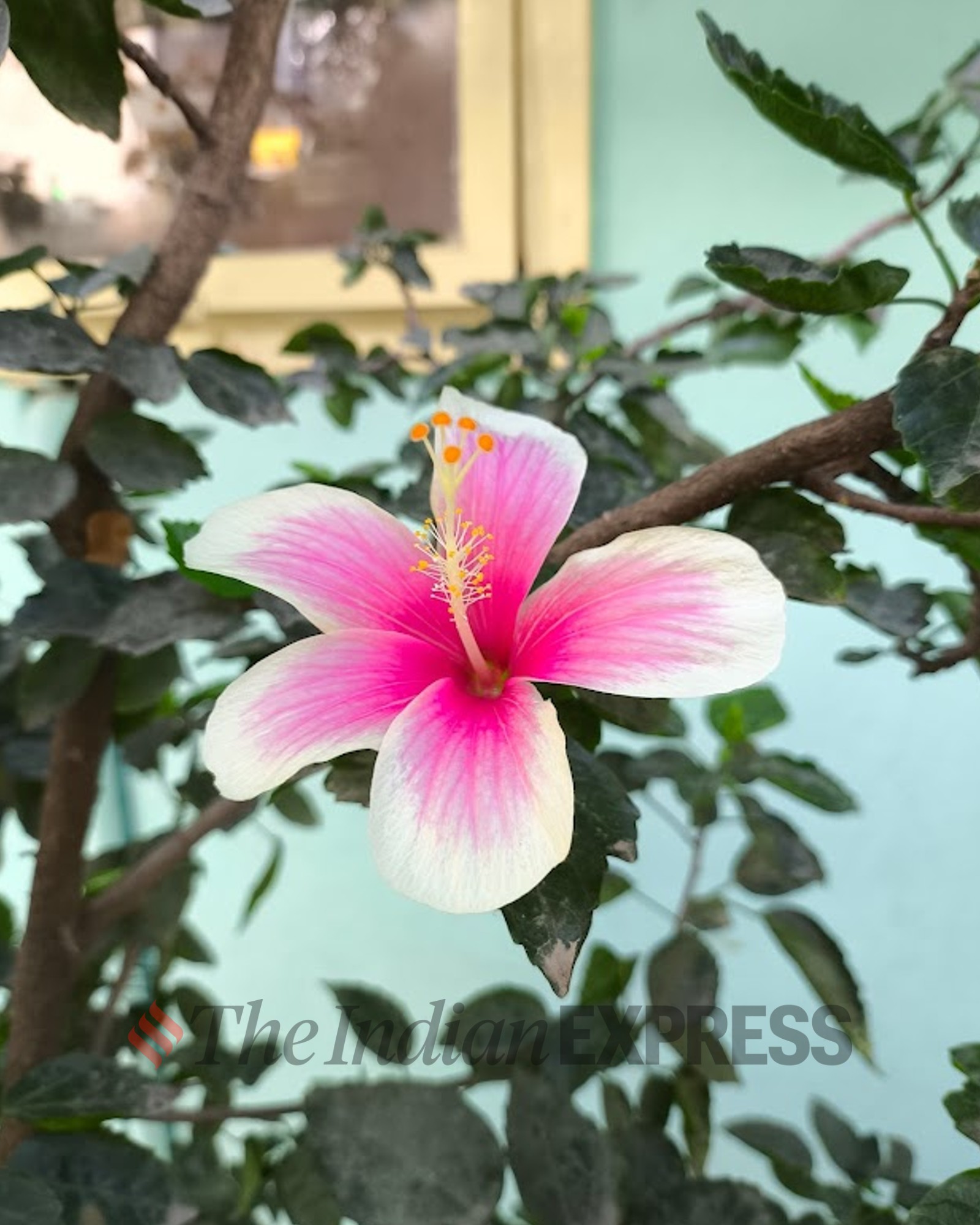 Poco X6 Pro review