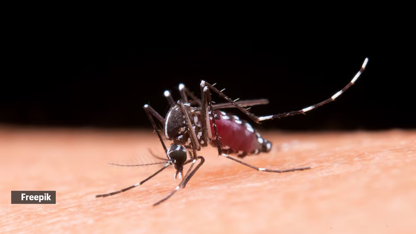 Does applying a heated spoon to a mosquito bite reduce itching? An